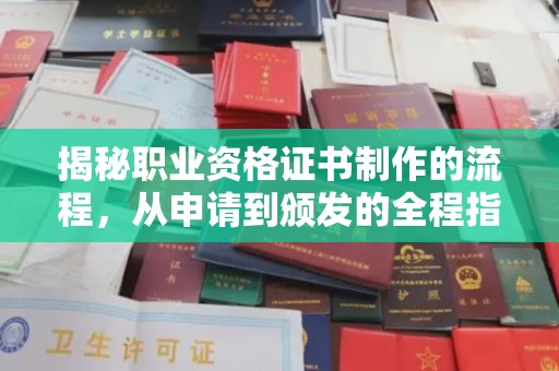 麻豆揭秘职业资格证书制作的流程，从申请到颁发的全程指南